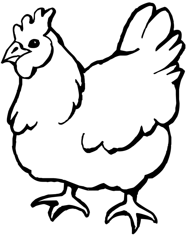 Chicken coloring page