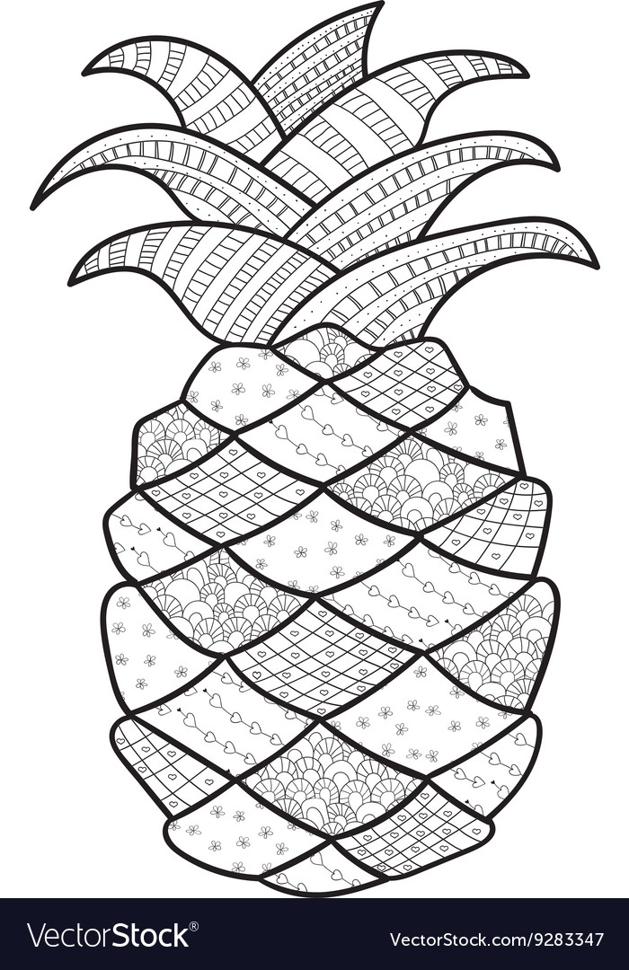 Pineapple adult coloring page royalty free vector image