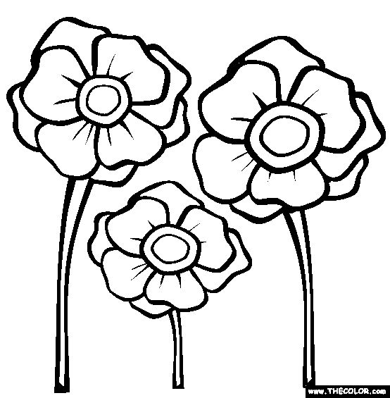 Poppies coloring page free poppies online coloring poppy coloring page remembrance day poppy poppy template