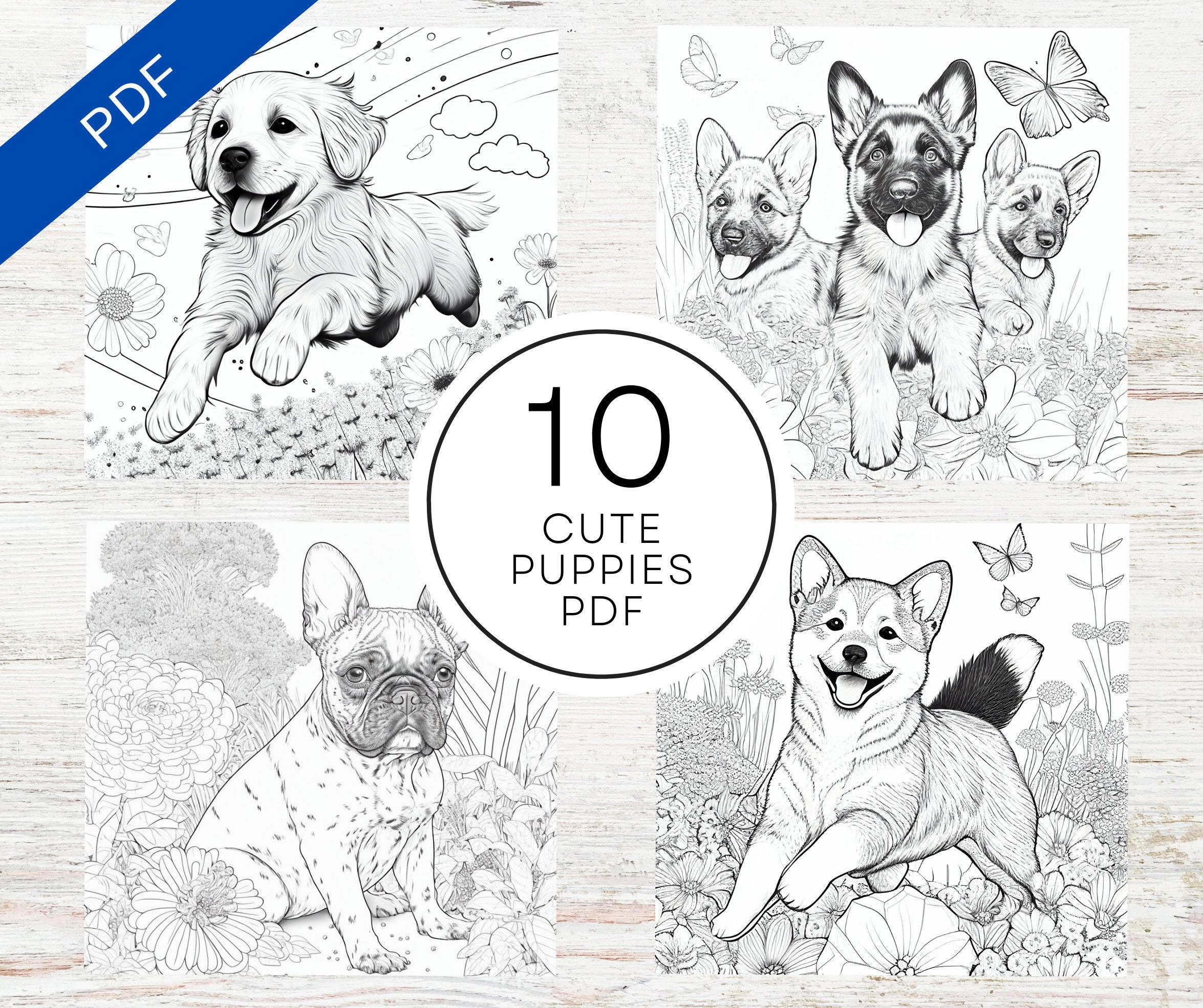 Cute happy puppies coloring book pages printable pdf a x adult realistic coloring pages various dog species instant download