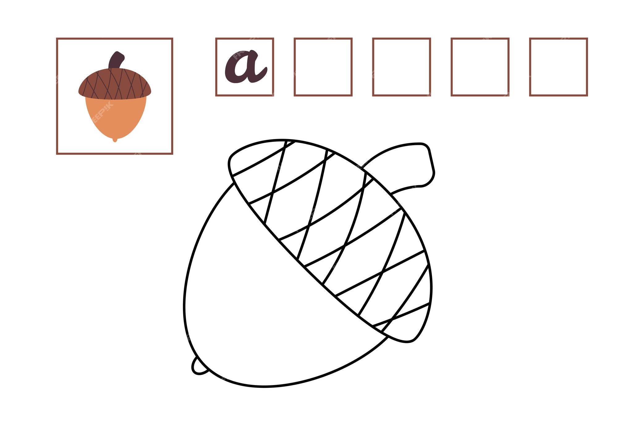 Premium vector acorn oak