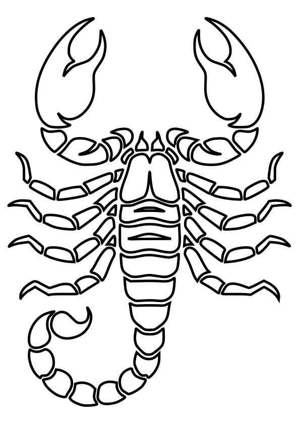 Scorpion drawing for coloring page free printable nurieworld