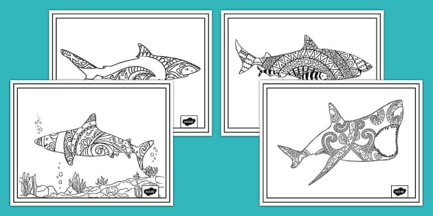 Mindfulness shark loring pages teacher made