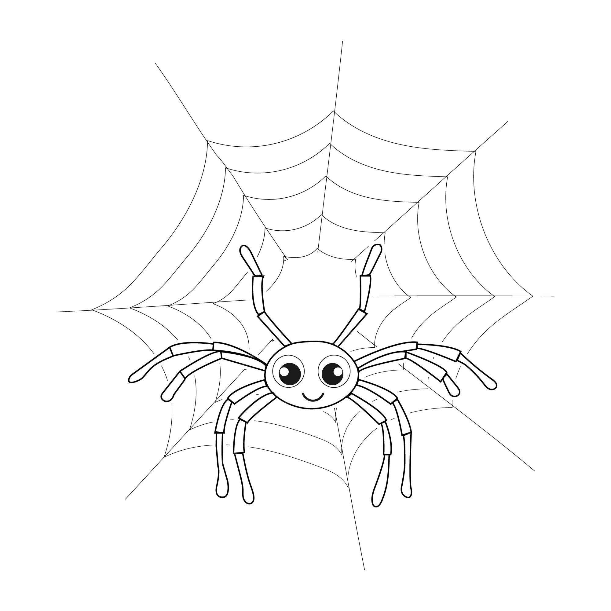 Premium vector spider on spider web line art coloring pages for kids