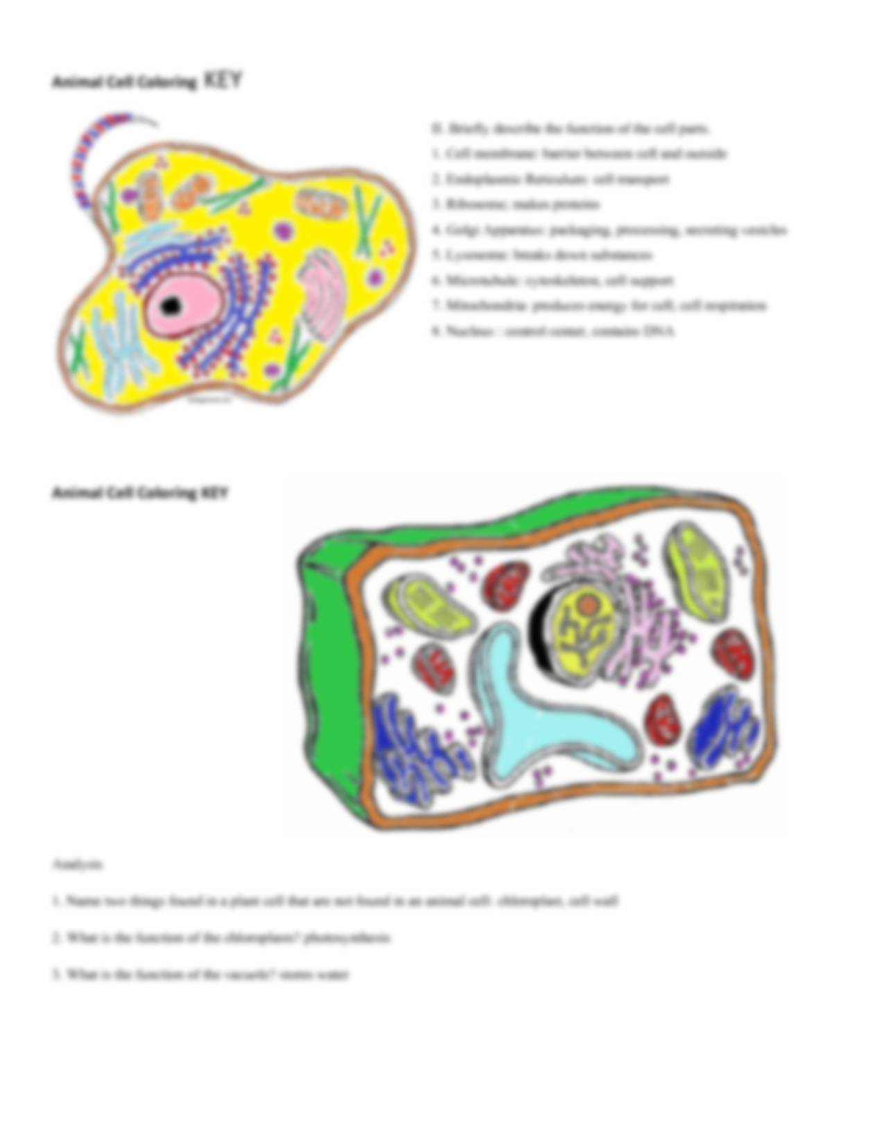 Solution animal and plant cell coloring