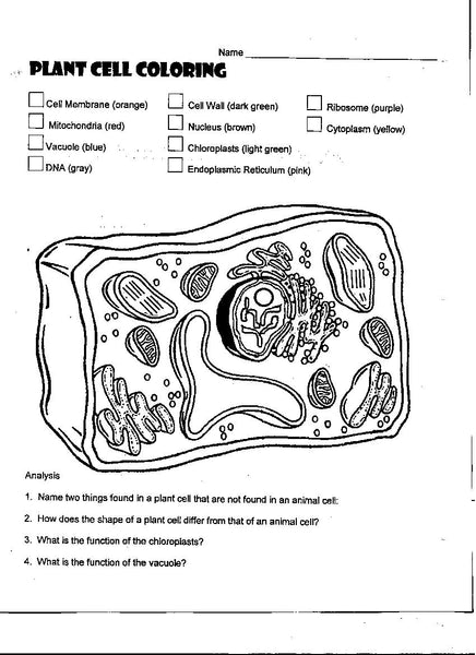 Free coloring pages science style â