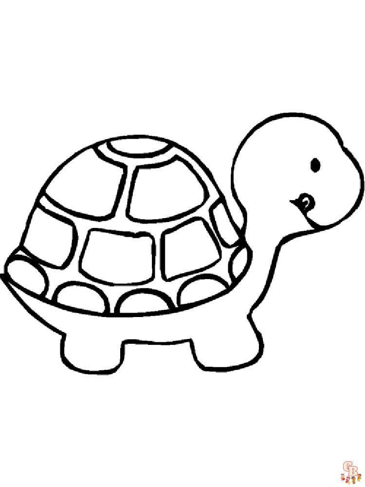 Tortoise coloring pages