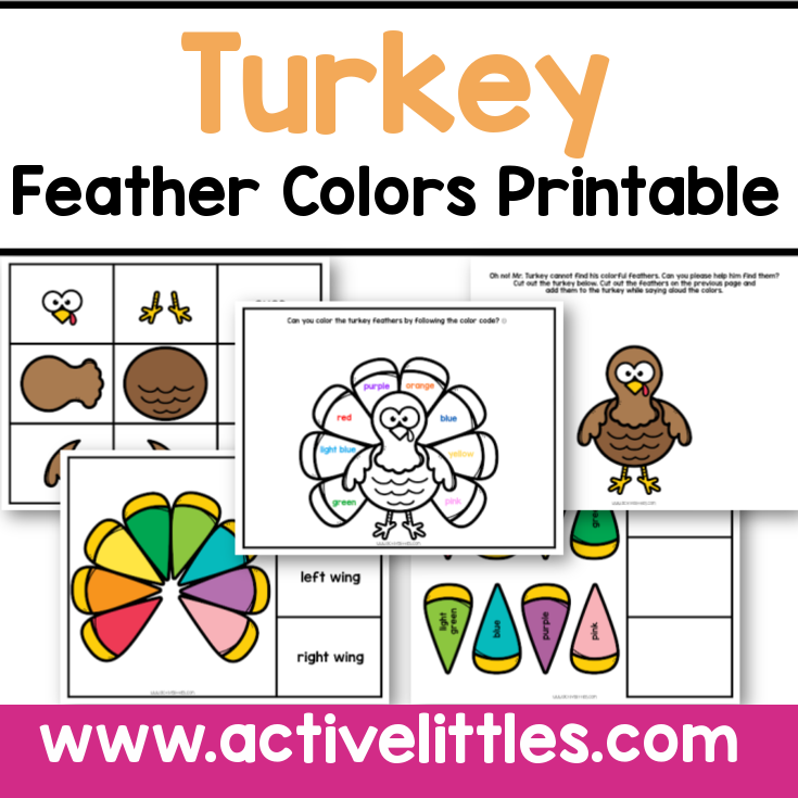 Turkey feather colors printable