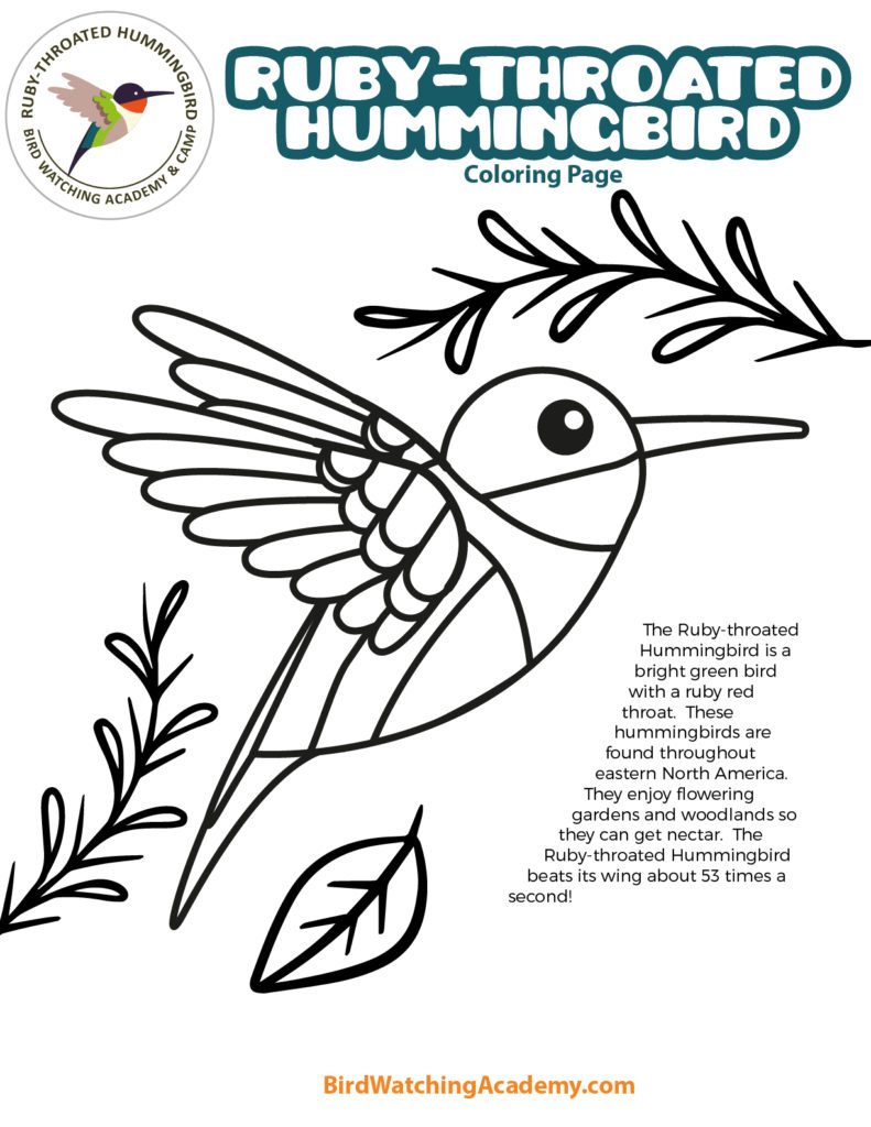 Bird coloring pages