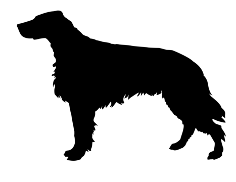 Rack sketch png transparent images free download vector files