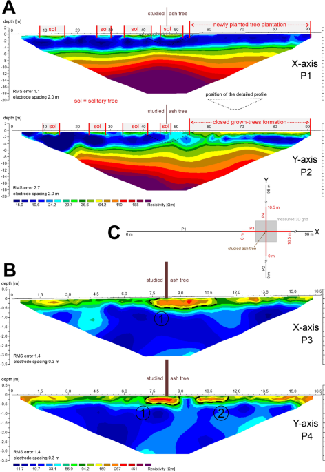 Geophysical imaging of tree root absorption and conduction zones under field conditions a parison of mon geoelectrical methods plant and soil