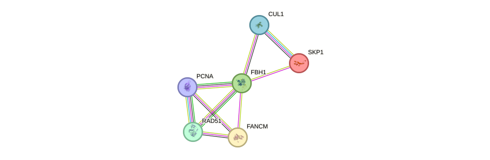 Fbh gene