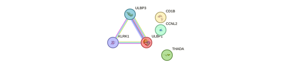 Ulbp gene