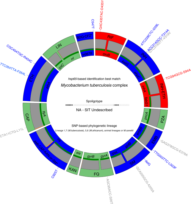 A sister lineage of the mycobacterium tuberculosis plex discovered in the african great lakes region munications
