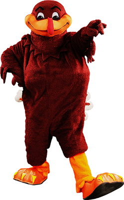 Hokiebird