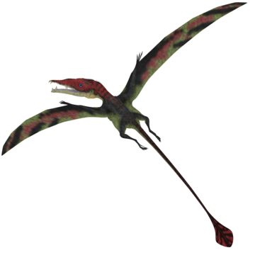 Dinosaur claw png transparent images free download vector files