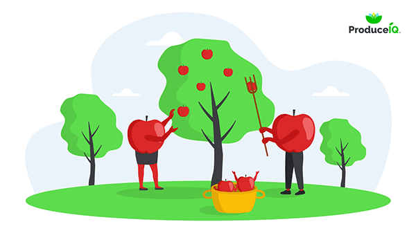 Produceiq apple prices at