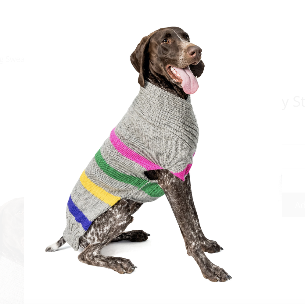 Chilly dog dove grey cable knit sweater â happy dog wellness
