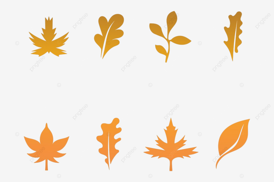 Sugar maple leaf silhouette vector png maple leaf vector illustration design template national september isolated png image for free download