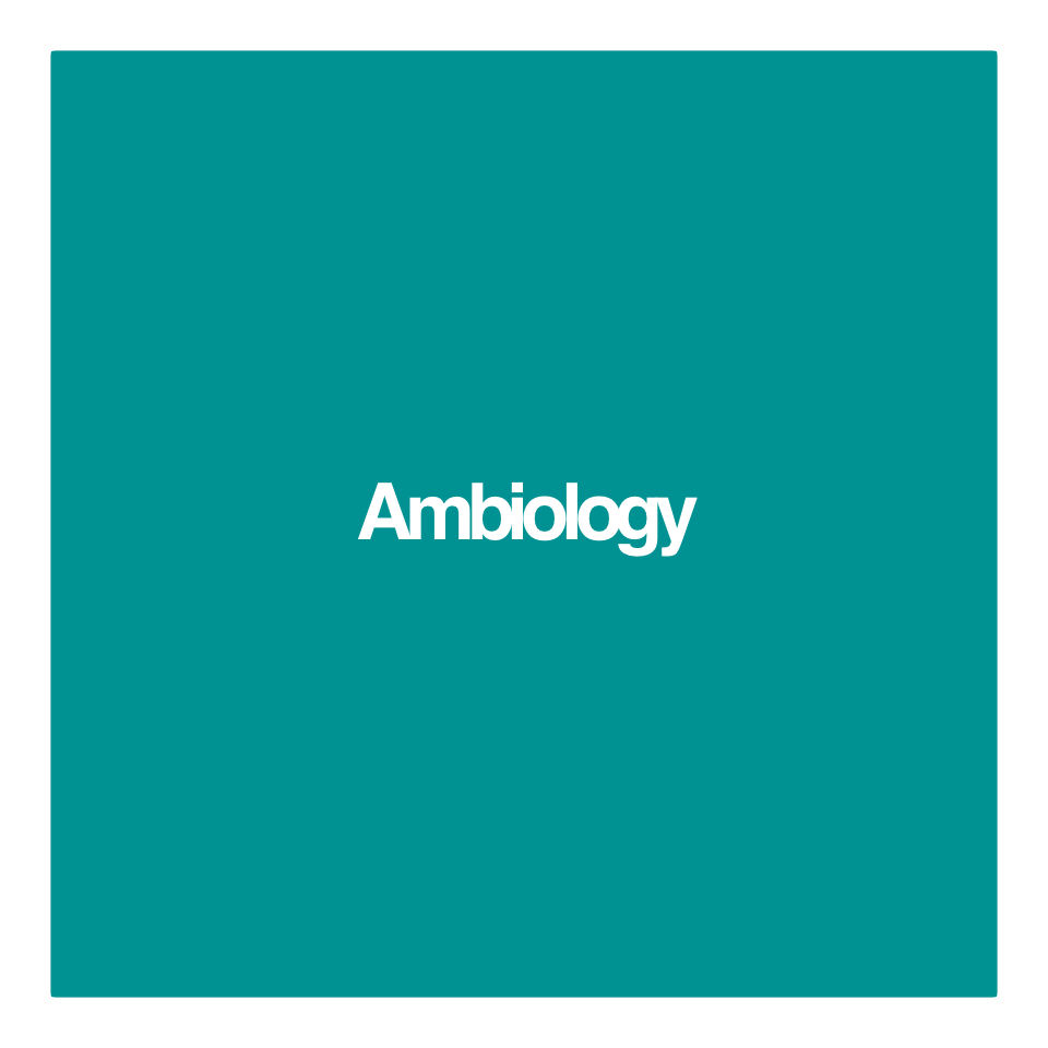 Ambiology
