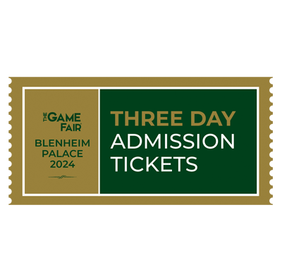The game fair
