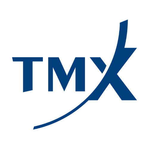 Tsx operator tmx group snaps up remaining stake in vettafi for m