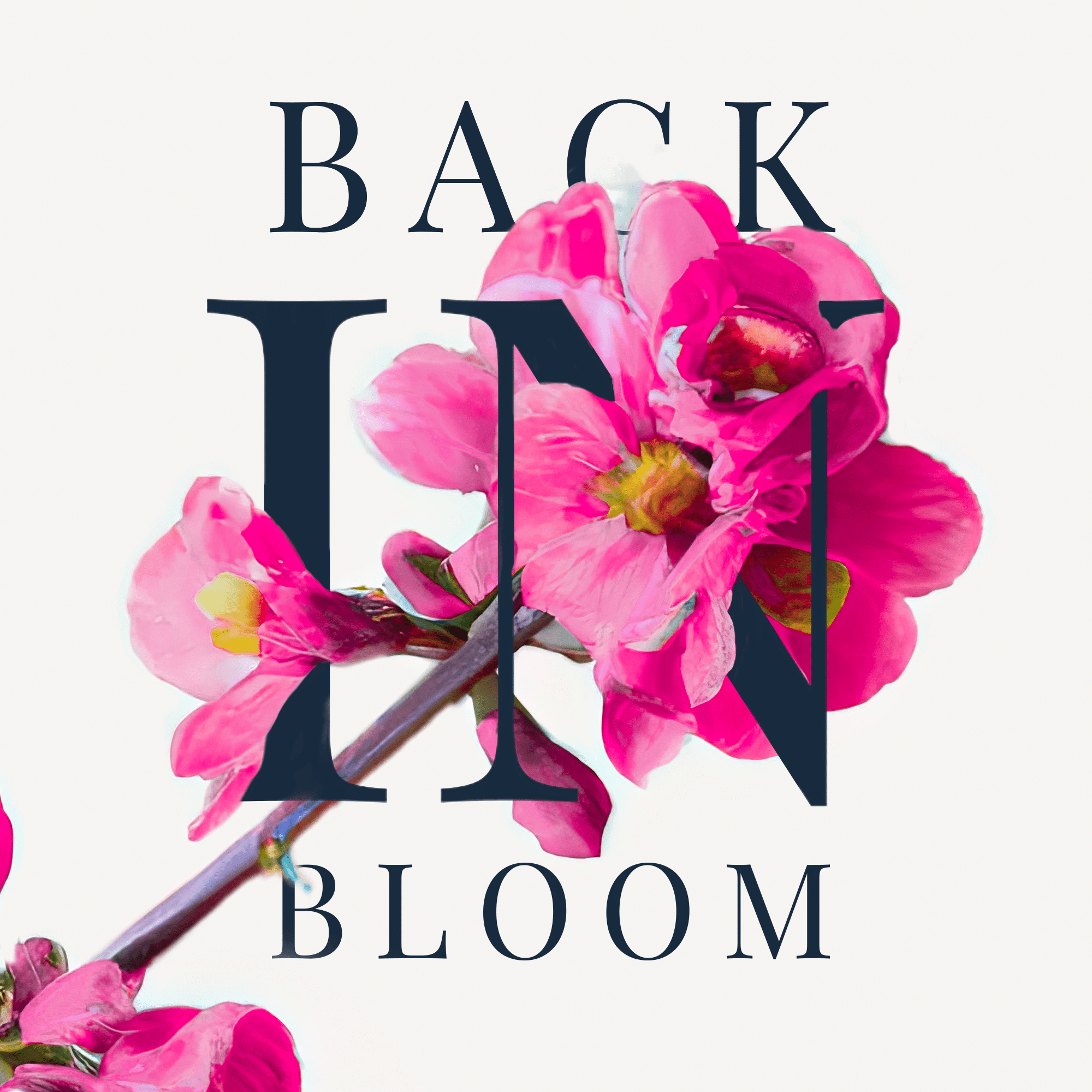 Events from may â august â page â whats up fort worth