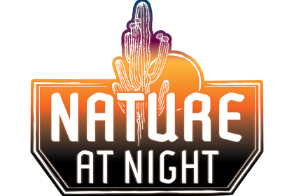 Nature at night city of chandler
