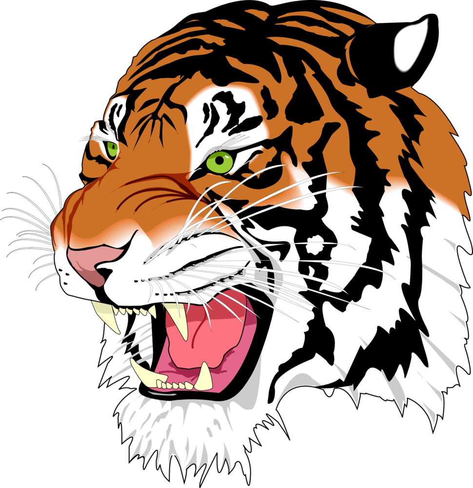News lyndonville central school district