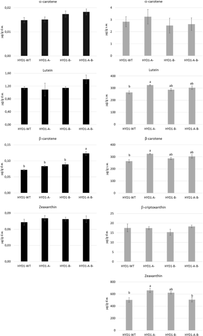 Enrichment of provitamin a content in durum wheat grain by suppressing î
