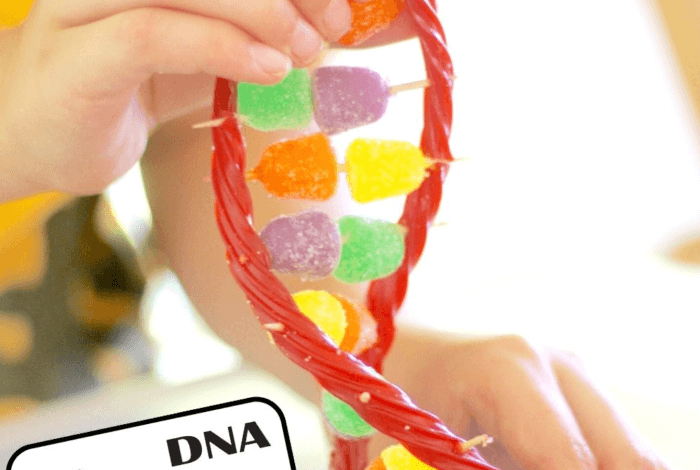 Best food activities for kids ultimate guide