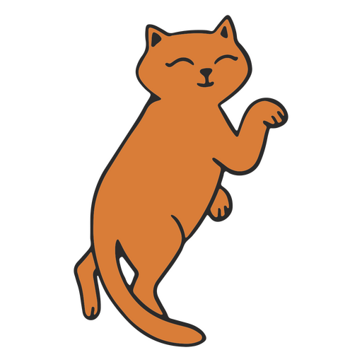 Cat png designs for t shirt merch