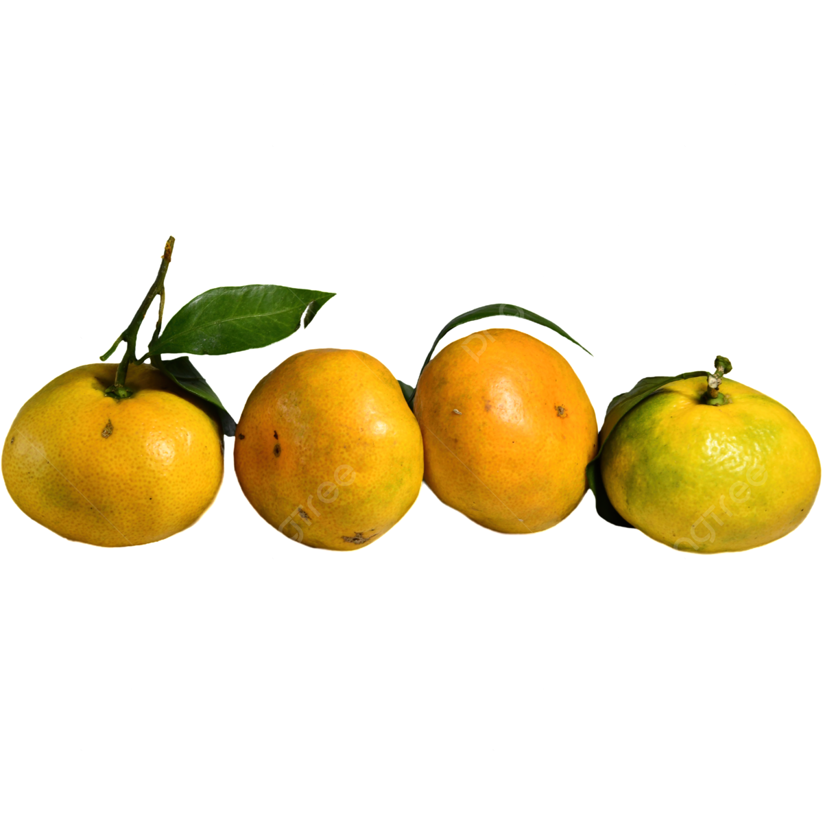 Four seasons fruit png transparent images free download vector files