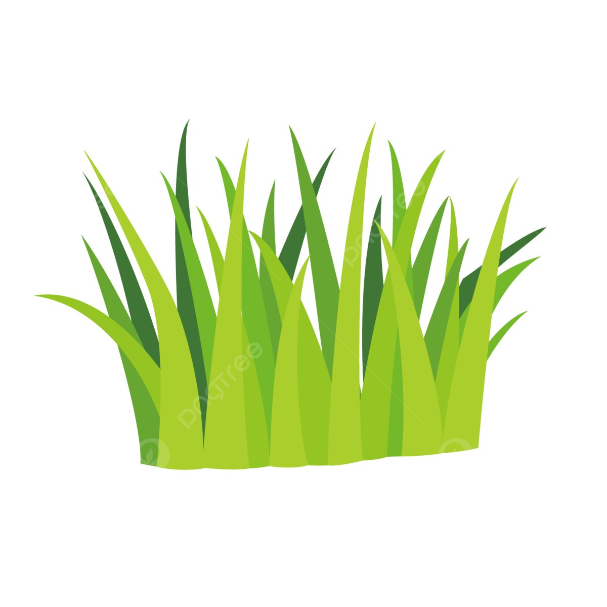 Grass illustrations vector art png images free download on