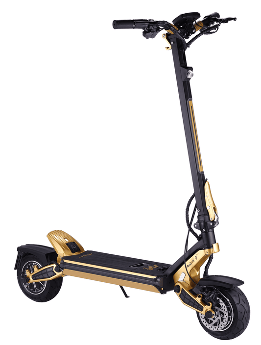 Dragon scooter best electric scooter collection
