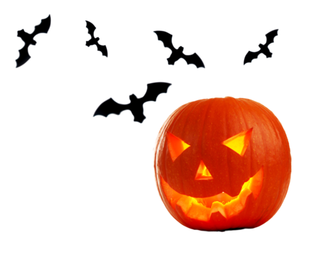 Pumpkin decoration png vector psd and clipart with transparent background for free download