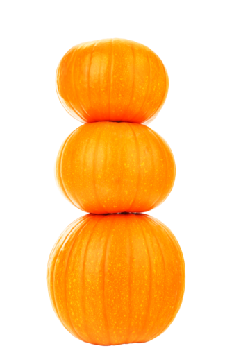 Pumpkin vegetable png transparent images free download vector files
