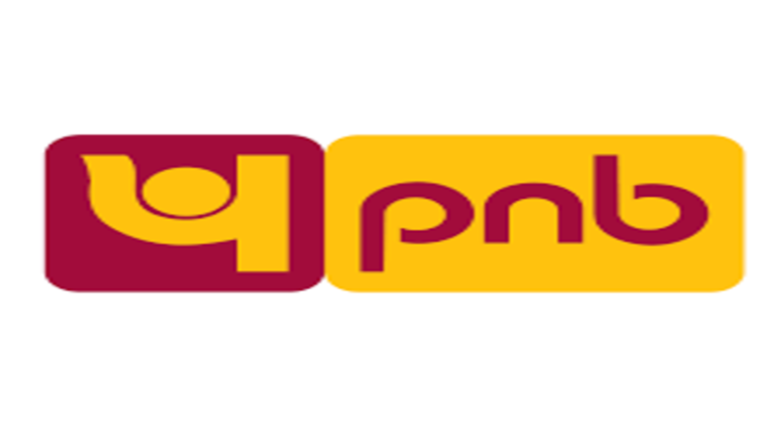 Pnb q results net profit falls yoy to rs crore