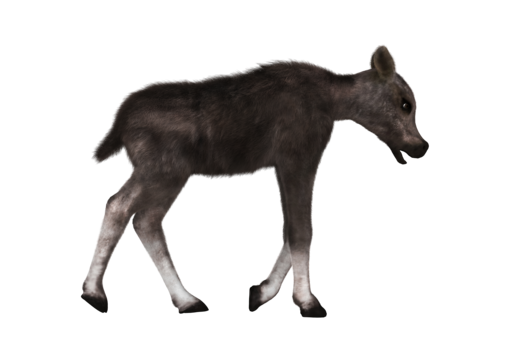 Calf png transparent images free download vector files