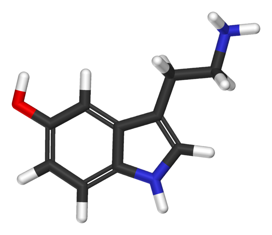 Fileserotonin