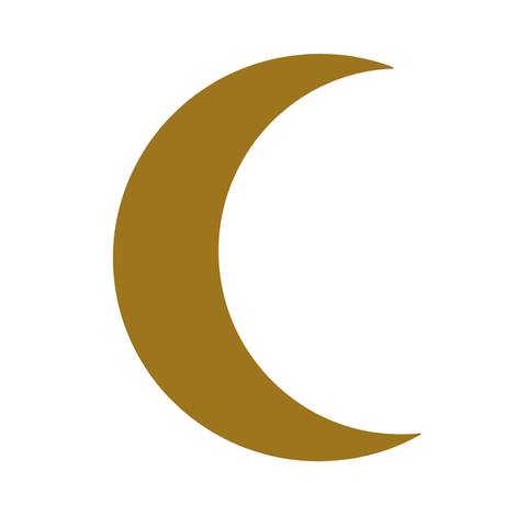 Lilly moon moon dust milk paint â rusty cottage