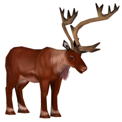 Categoryold world deer zt download library wiki