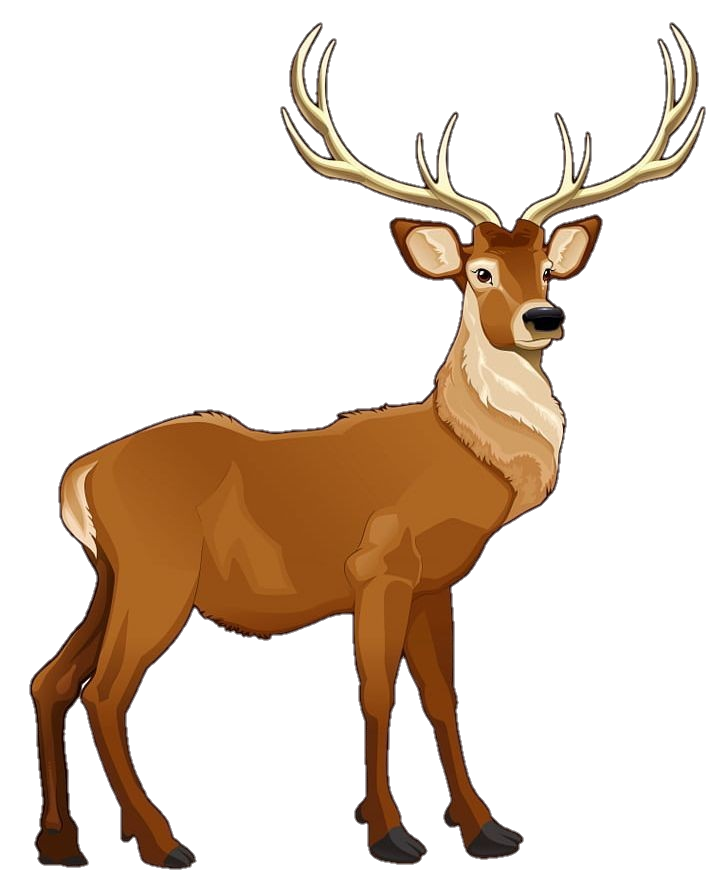 Deer png transparent images free download