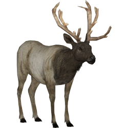 Categoryold world deer zt download library wiki