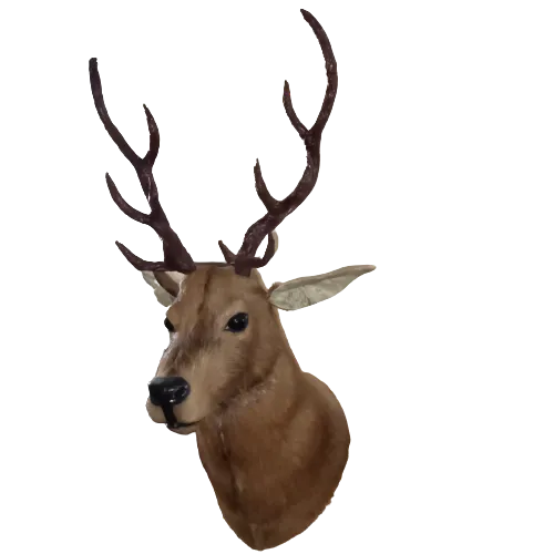 Brown leather old antique deer face wall ount for decoration size inch