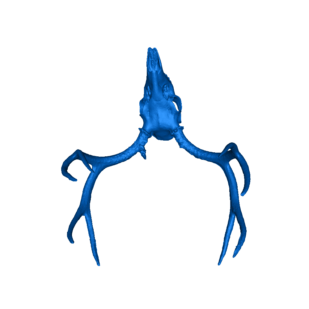 Mule deer d models download creality cloud