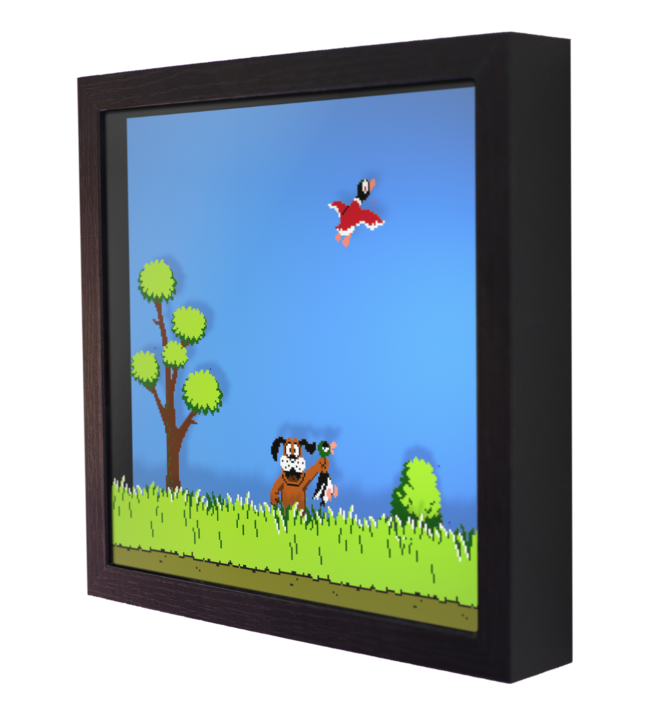 Duck hunt