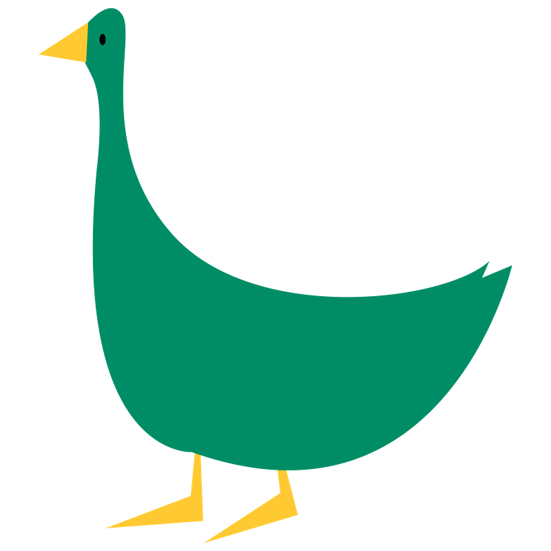 Duck eggs images free photos png stickers wallpapers backgrounds