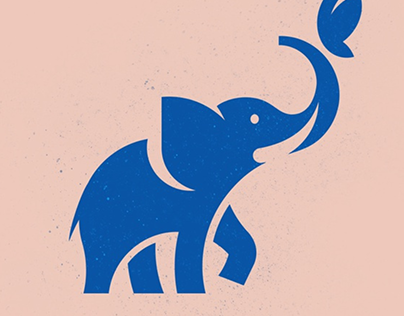 Elephant projects photos videos logos illustrations and branding on