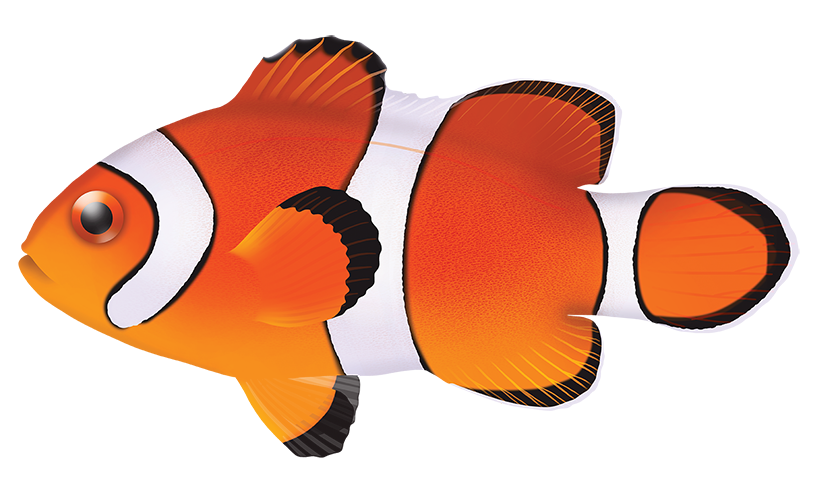 Fish archive